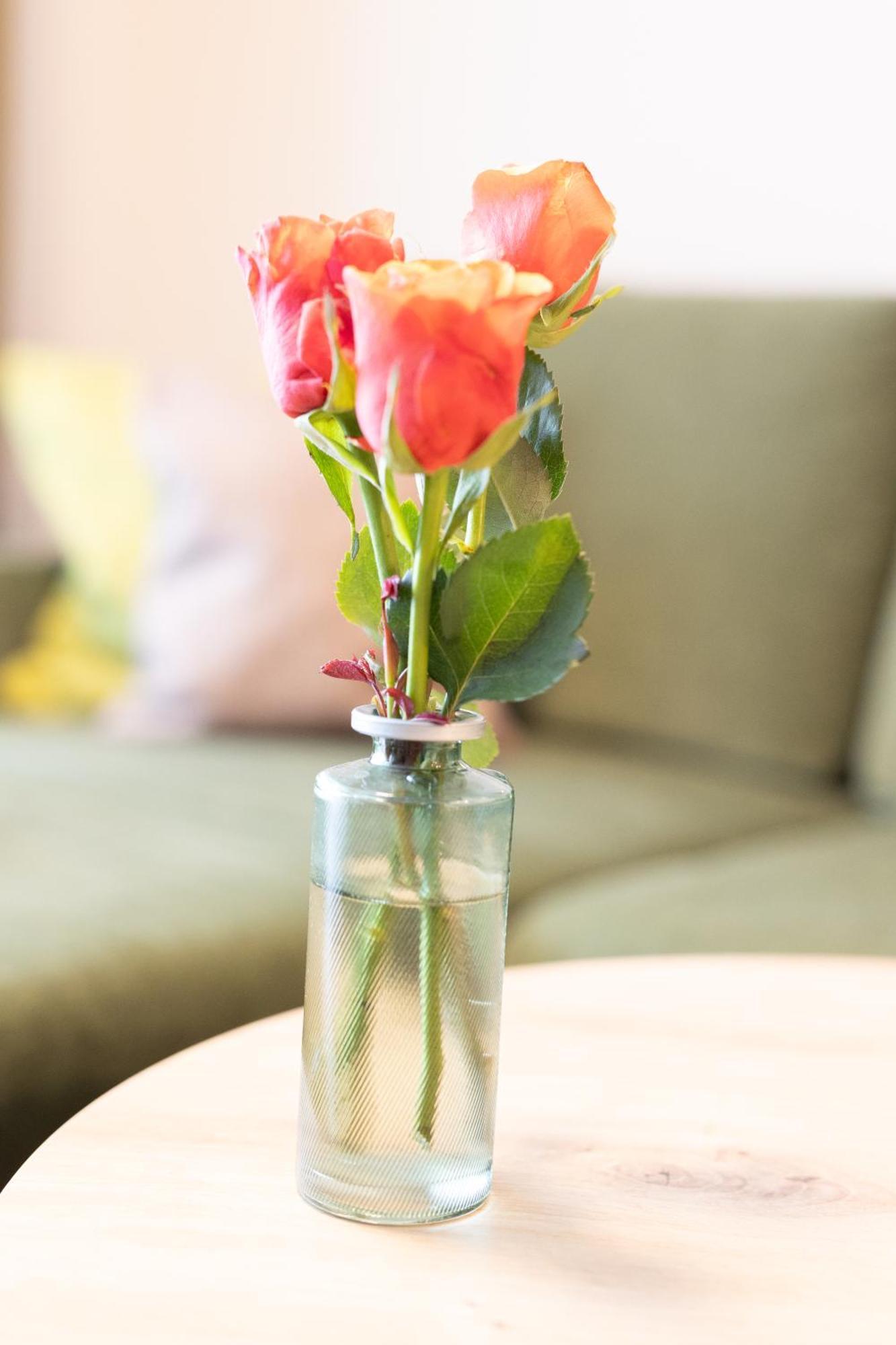 Appartementdeluxe Steiert - Near Europa Park - Rulantica - Spacious - Fully Equipped Kitchen - Private Garden - Free Parking - Pet Friendly Schwanau Luaran gambar